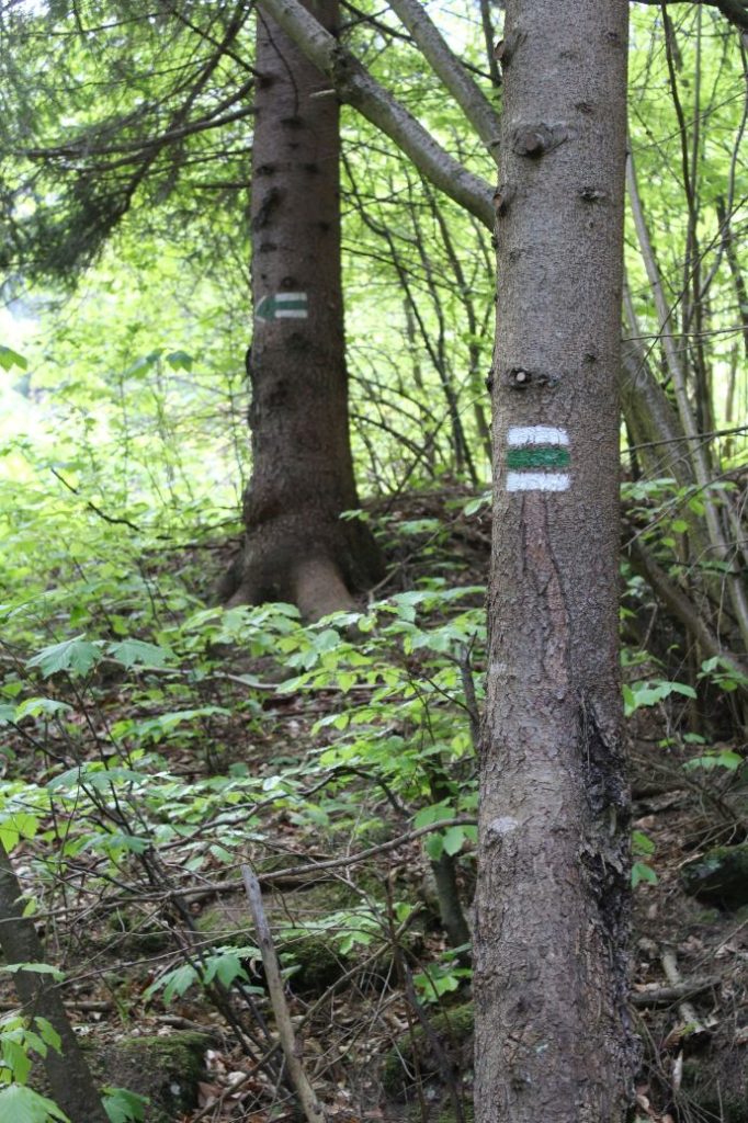 Podsuchá - Brankov - Biely Potok 12