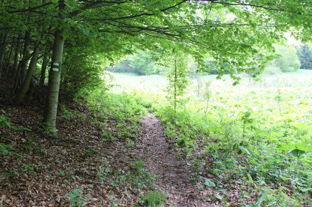 Podsuchá - Brankov - Biely Potok 13