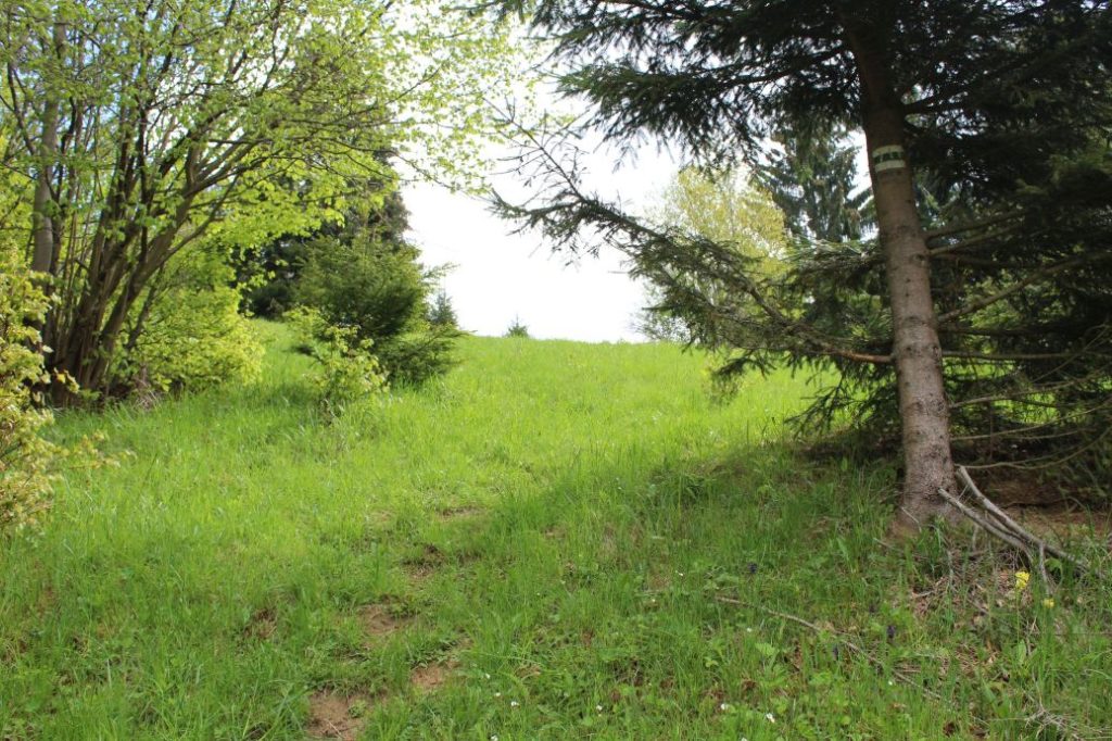 Podsuchá - Brankov - Biely Potok 14