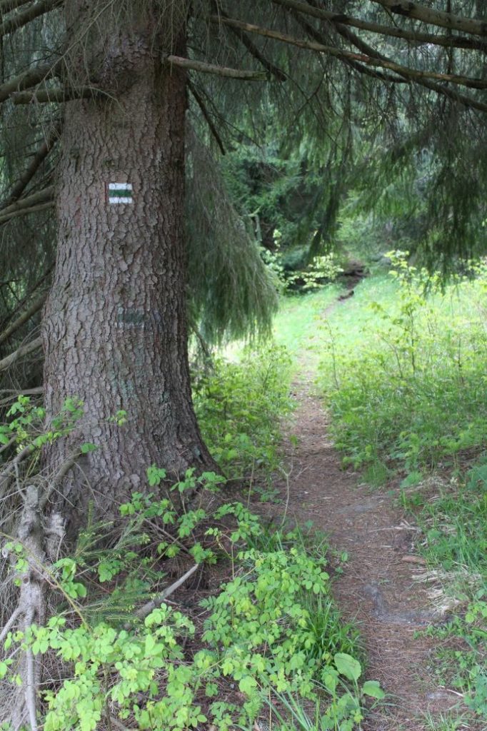 Podsuchá - Brankov - Biely Potok 15