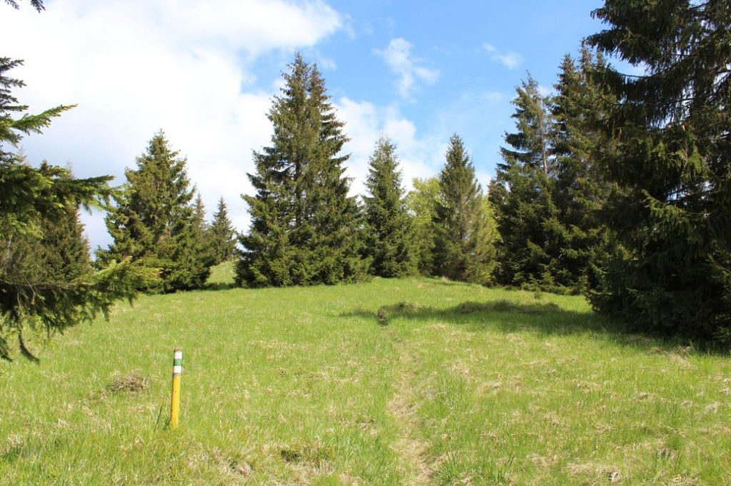 Podsuchá - Brankov - Biely Potok 18