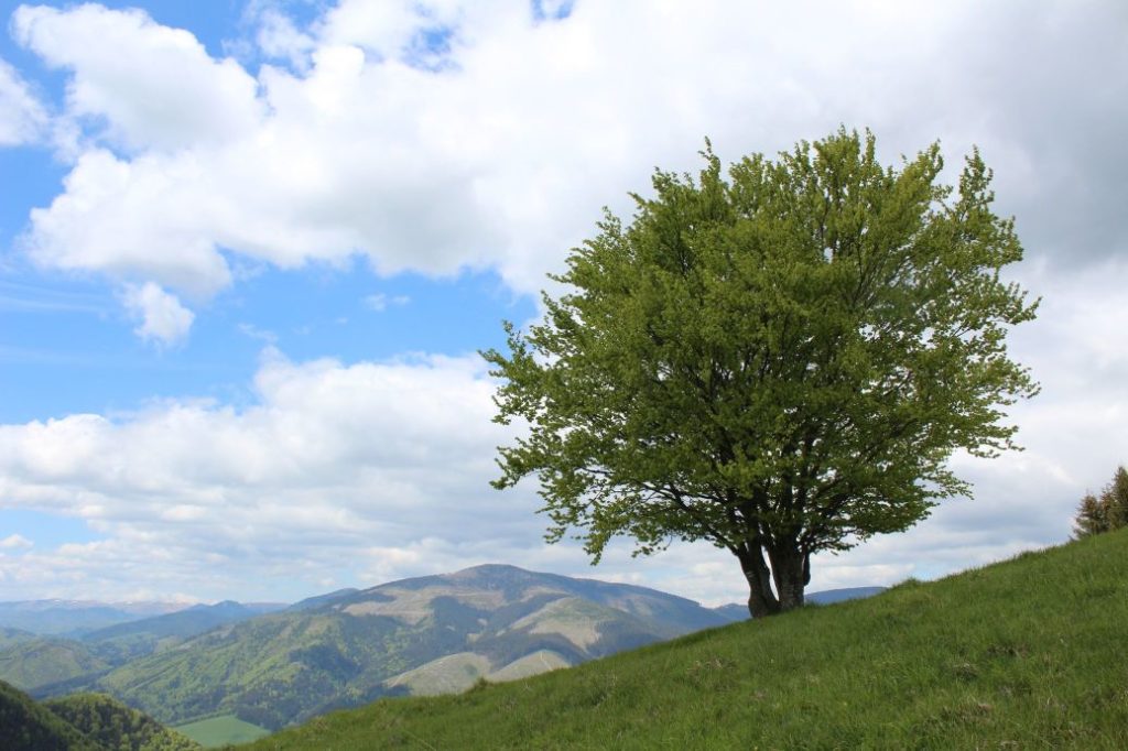 Podsuchá - Brankov - Biely Potok 23