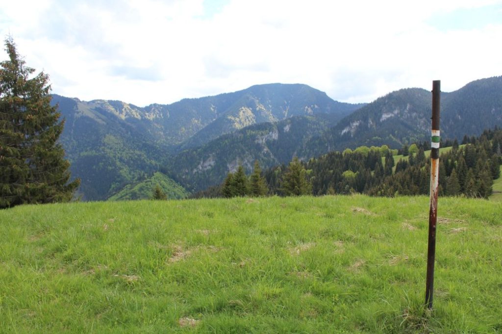 Podsuchá - Brankov - Biely Potok 24