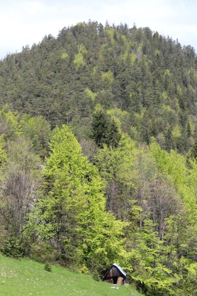 Podsuchá - Brankov - Biely Potok 25