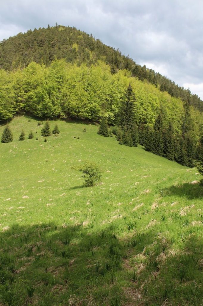 Podsuchá - Brankov - Biely Potok 27