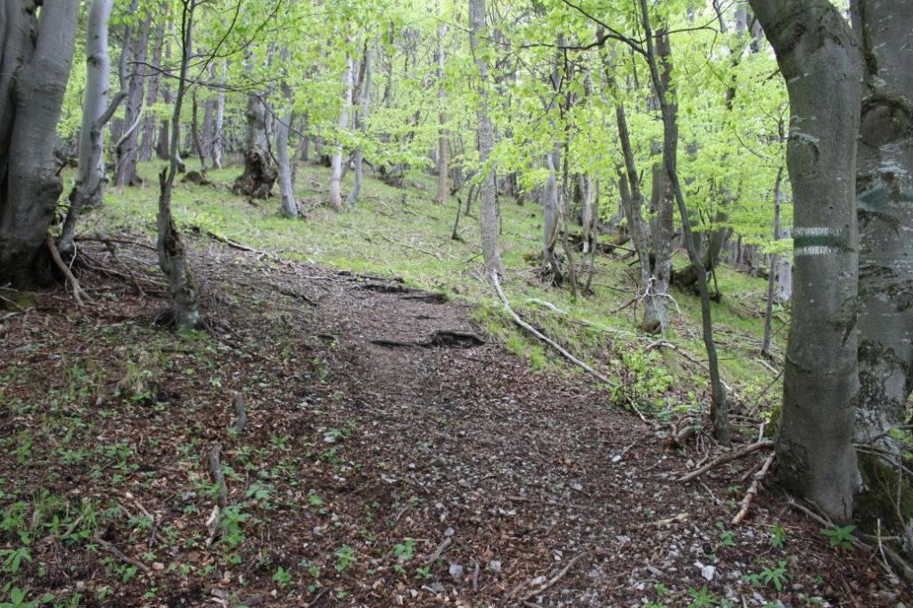 Podsuchá - Brankov - Biely Potok 28
