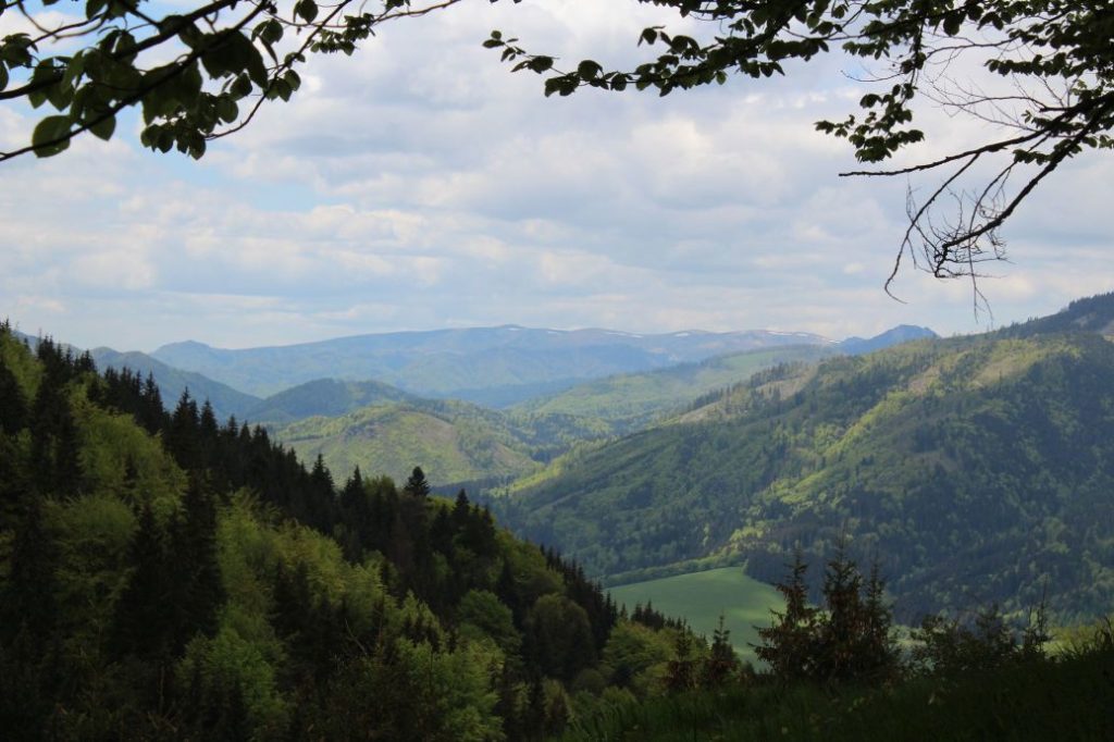 Podsuchá - Brankov - Biely Potok 29