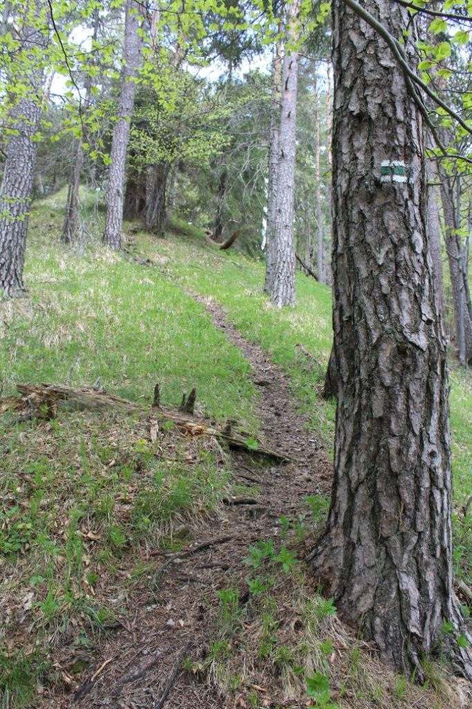 Podsuchá - Brankov - Biely Potok 30