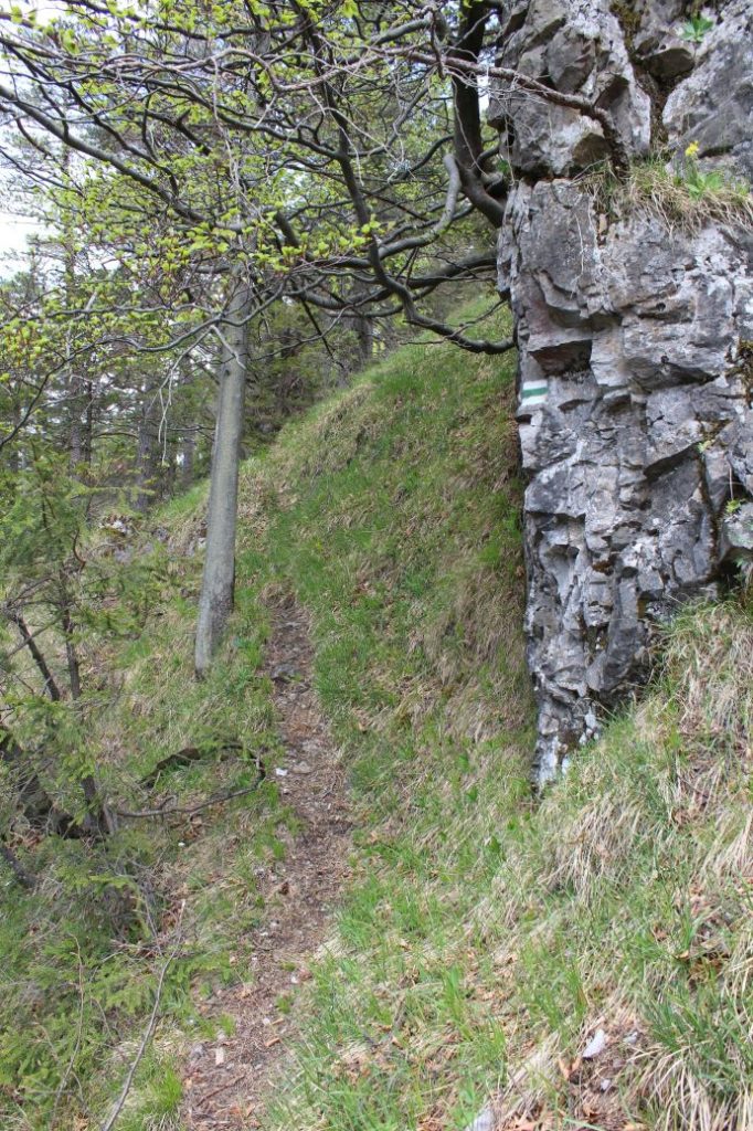 Podsuchá - Brankov - Biely Potok 33