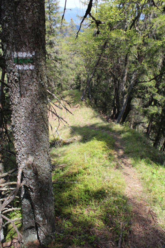 Podsuchá - Brankov - Biely Potok 36