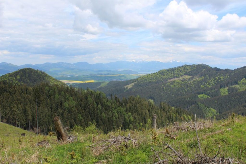 Podsuchá - Brankov - Biely Potok 37