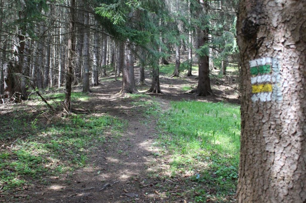 Podsuchá - Brankov - Biely Potok 40