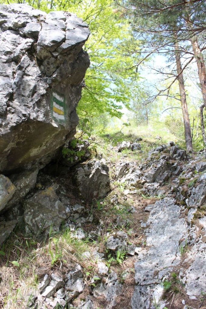 Podsuchá - Brankov - Biely Potok 42