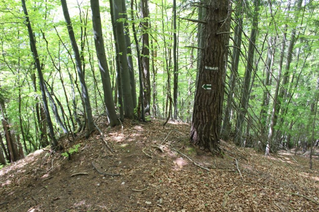 Podsuchá - Brankov - Biely Potok 45