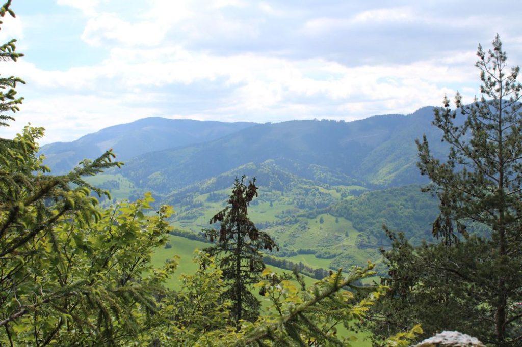 Podsuchá - Brankov - Biely Potok 50