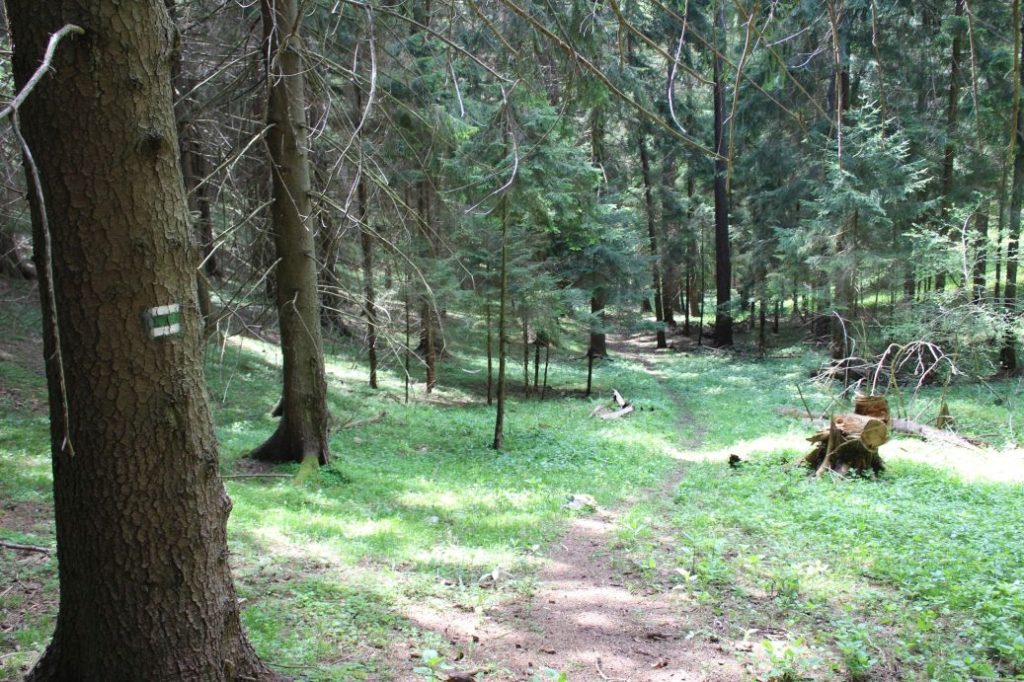 Podsuchá - Brankov - Biely Potok 51