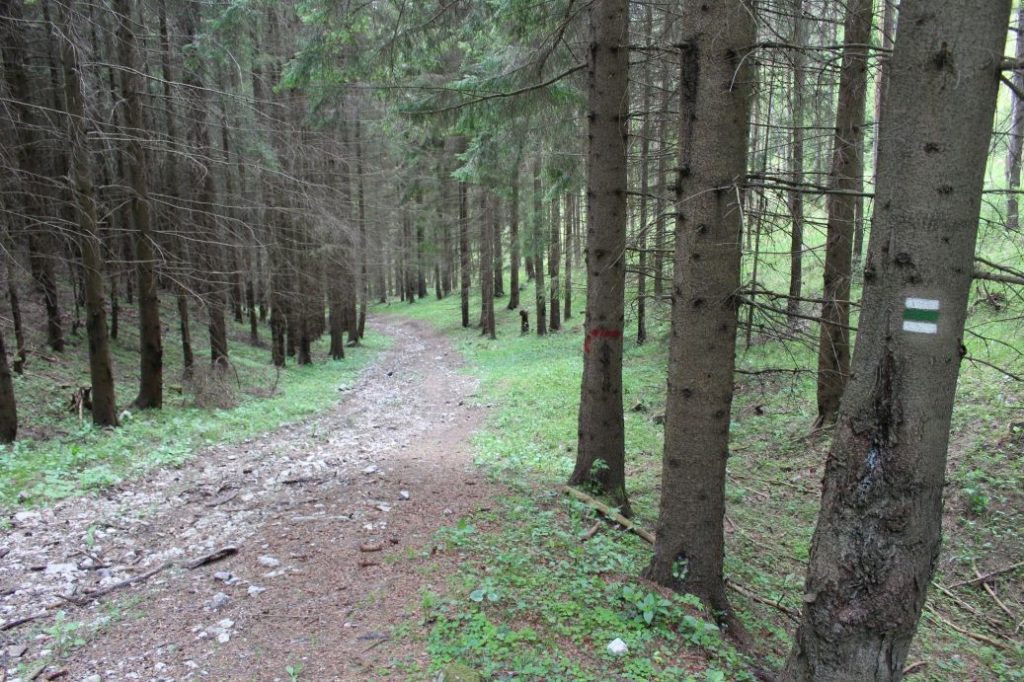 Podsuchá - Brankov - Biely Potok 52