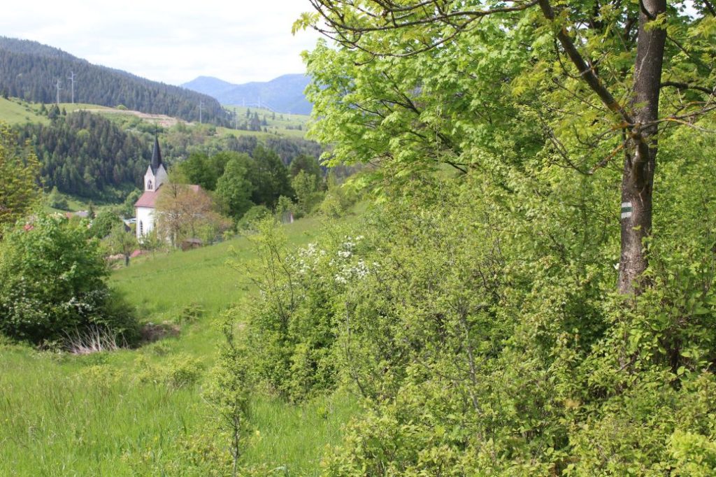 Podsuchá - Brankov - Biely Potok 53