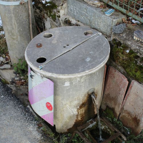 Spring 1955-2015, Kalameny