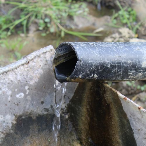 Spring Hvozdec, Liptovské Sliače – Vyšný