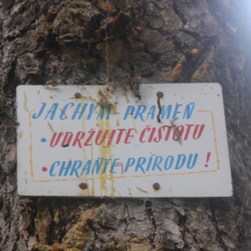 Spring Jachym, Lisková