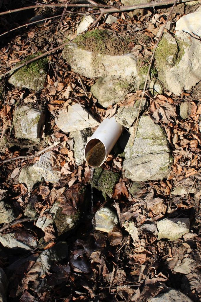 Prameň Malá Turecká, Liptovské Revúce 01