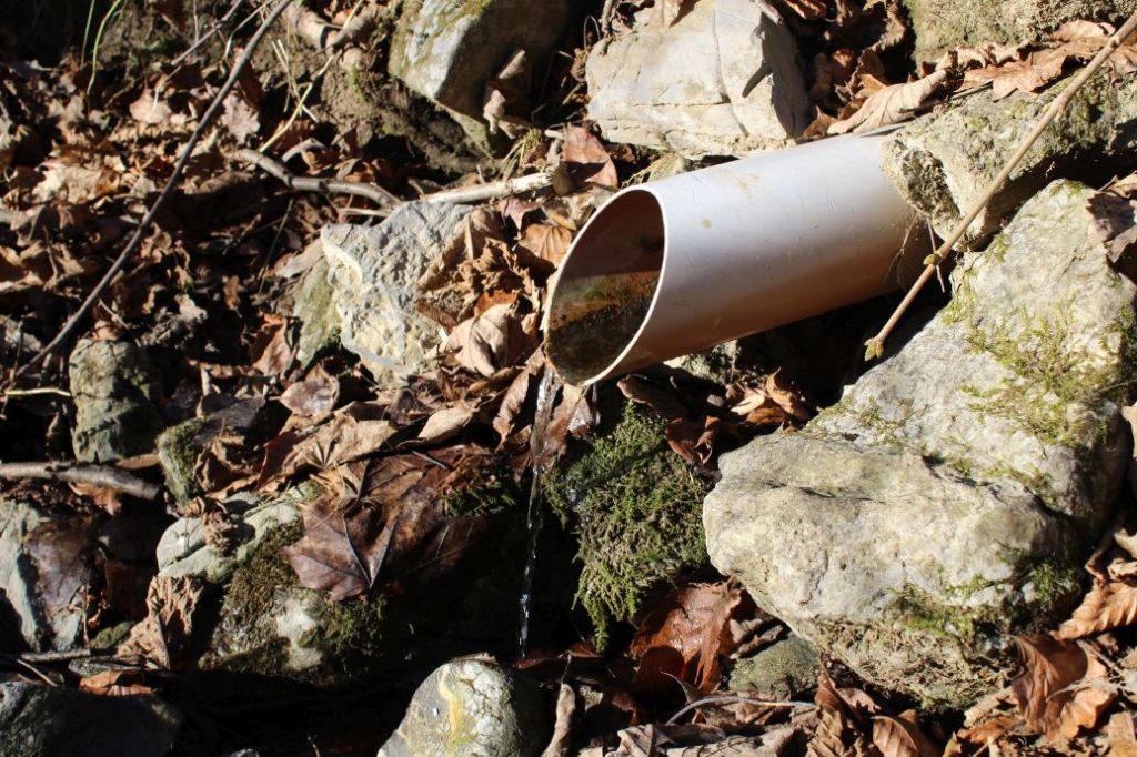 Prameň Malá Turecká, Liptovské Revúce 02