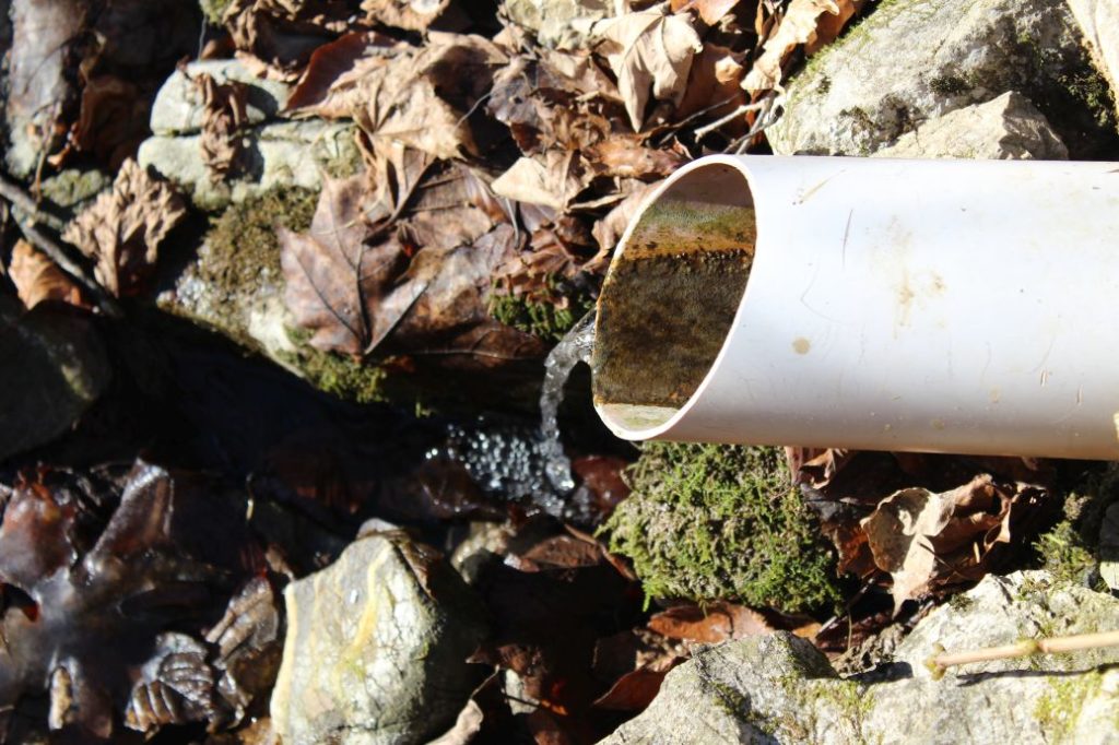 Prameň Malá Turecká, Liptovské Revúce 03