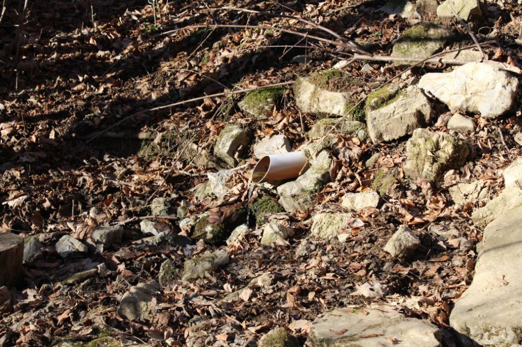 Prameň Malá Turecká, Liptovské Revúce 04