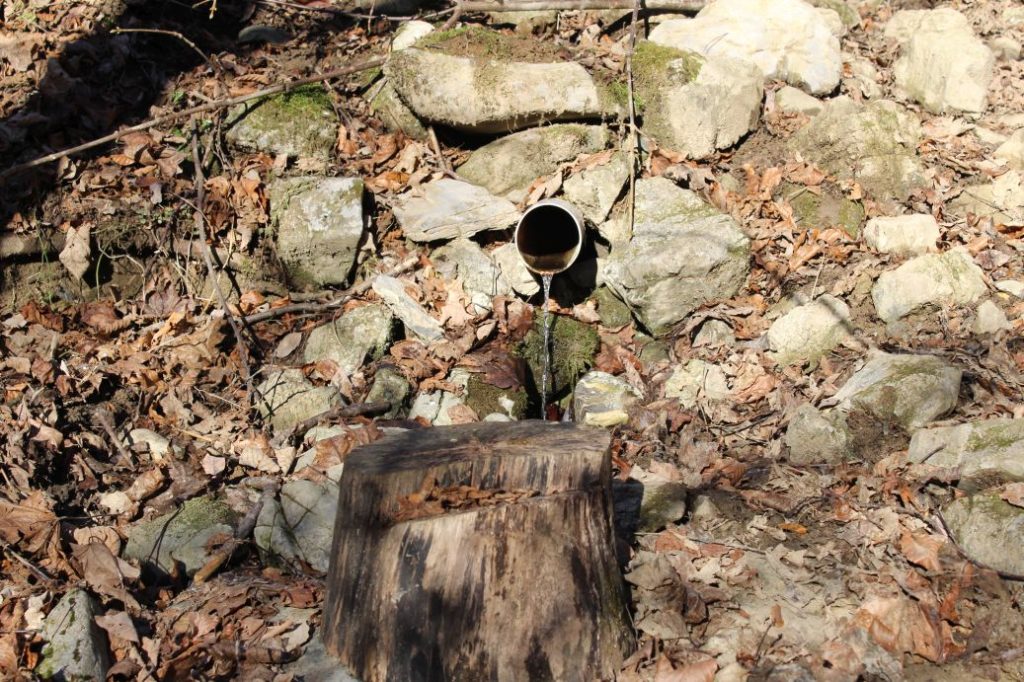 Prameň Malá Turecká, Liptovské Revúce 05