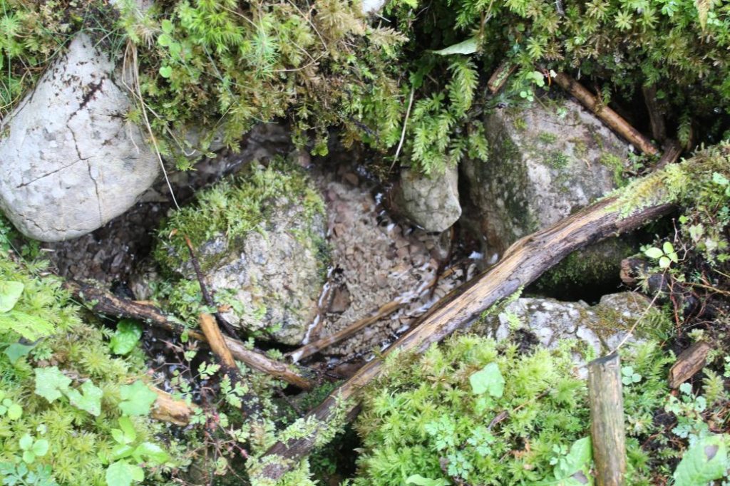 Prameň Meškov 2, Ružomberok 01 Prameň Meškov 2, Ružomberok 01