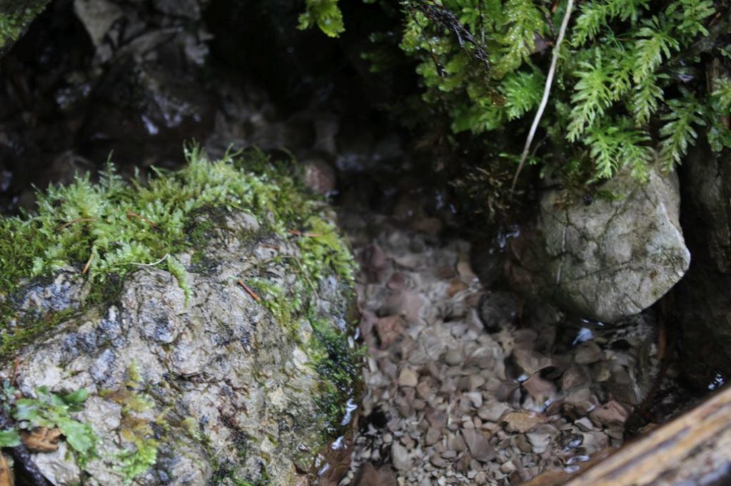 Prameň Meškov 2, Ružomberok 02 Prameň Meškov 2, Ružomberok 02