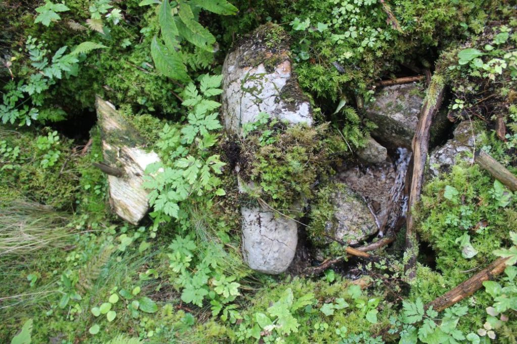 Prameň Meškov 2, Ružomberok 03 Prameň Meškov 2, Ružomberok 03