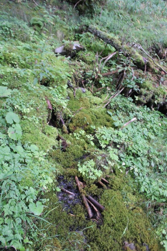 Prameň Meškov 2, Ružomberok 04 Prameň Meškov 2, Ružomberok 04