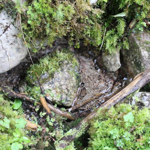 Spring Meškov 2, Ružomberok