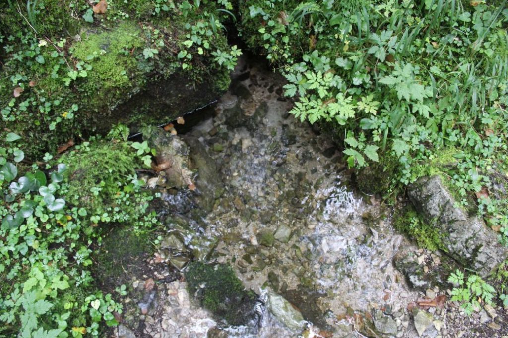 Prameň Meškov nad obrovými okuliarmi, Ružomberok 01