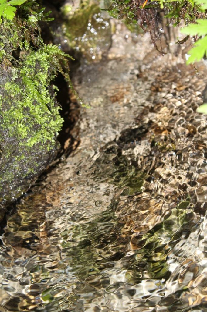 Prameň Meškov nad obrovými okuliarmi, Ružomberok 02