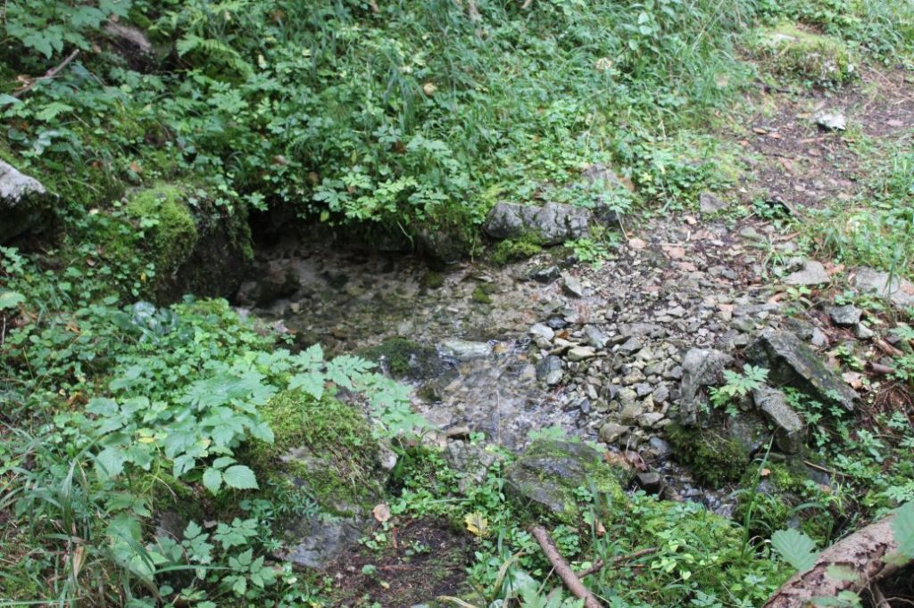 Prameň Meškov nad obrovými okuliarmi, Ružomberok 03