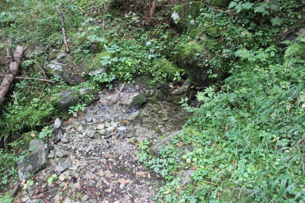 Prameň Meškov nad obrovými okuliarmi, Ružomberok 04