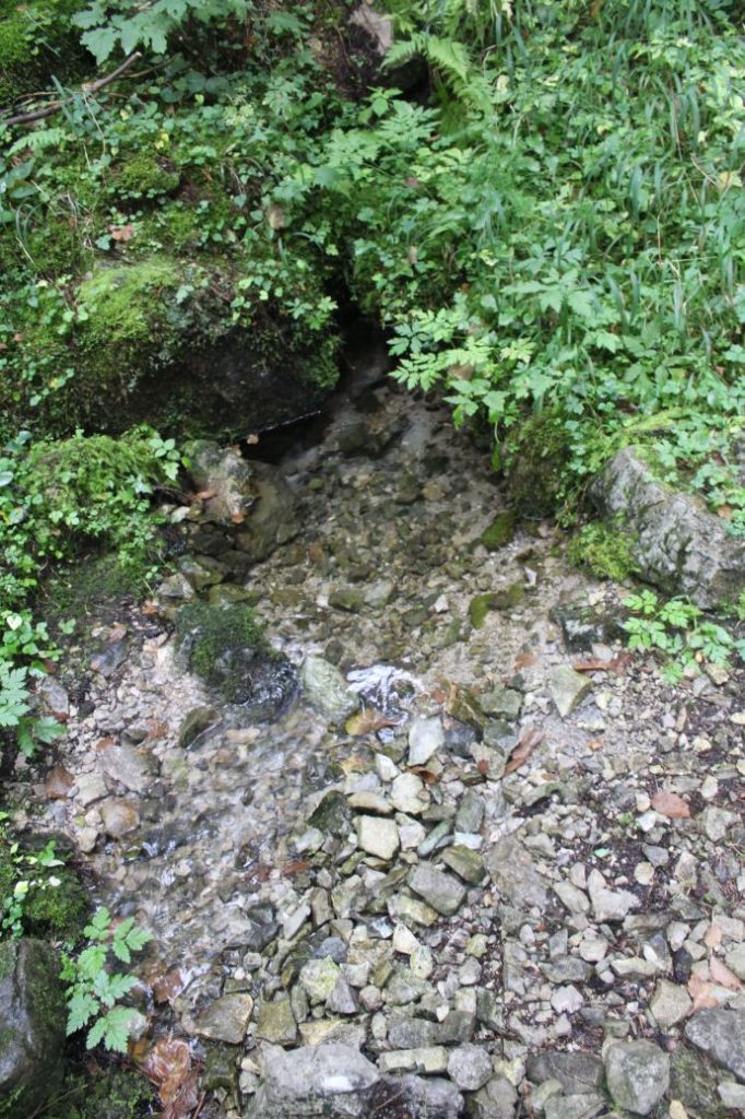 Prameň Meškov nad obrovými okuliarmi, Ružomberok 05