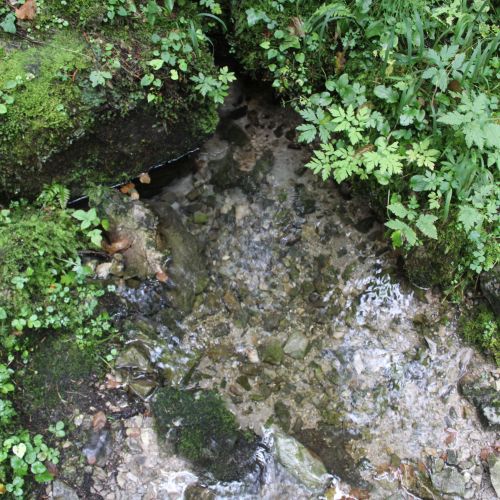 Spring Meškov above Giant’s Glasses, Ružomberok