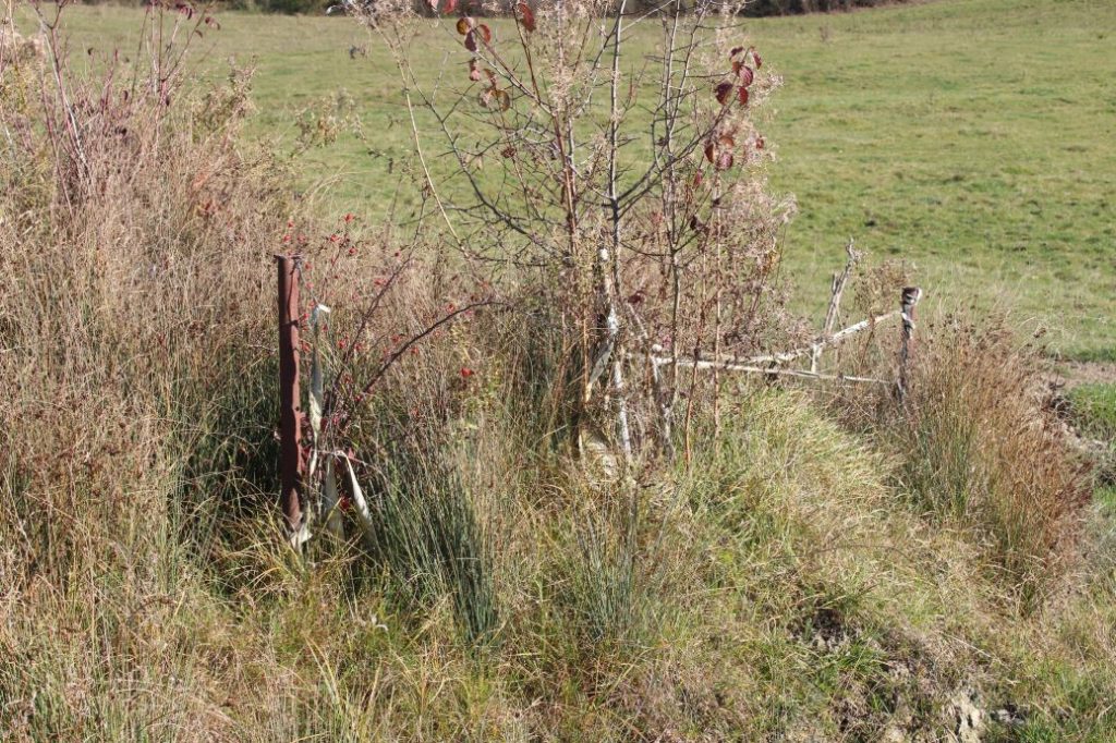 Prameň Pod Kopanicami, Liptovské Sliače - Nižný 02 Prameň Pod Kopanicami, Liptovské Sliače - Nižný 02