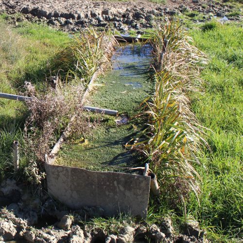 Spring Pod Kopanicami, Liptovské Sliače – Nižný