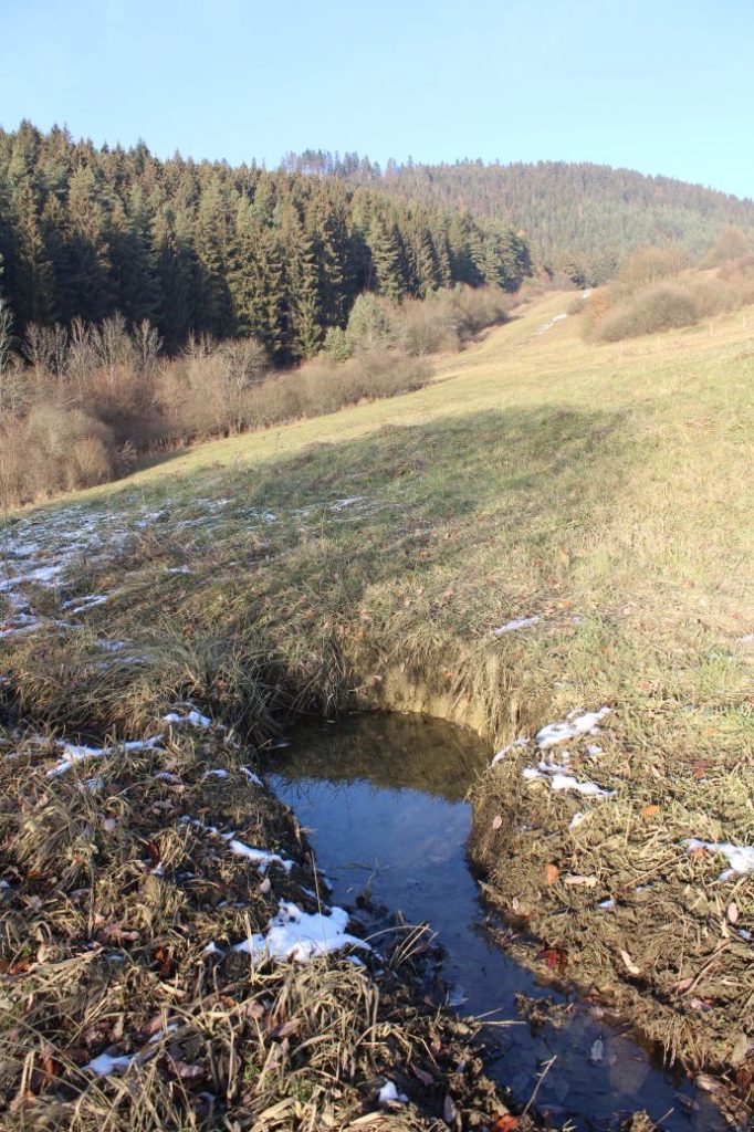 Prameň Záblatné, Kalameny 02