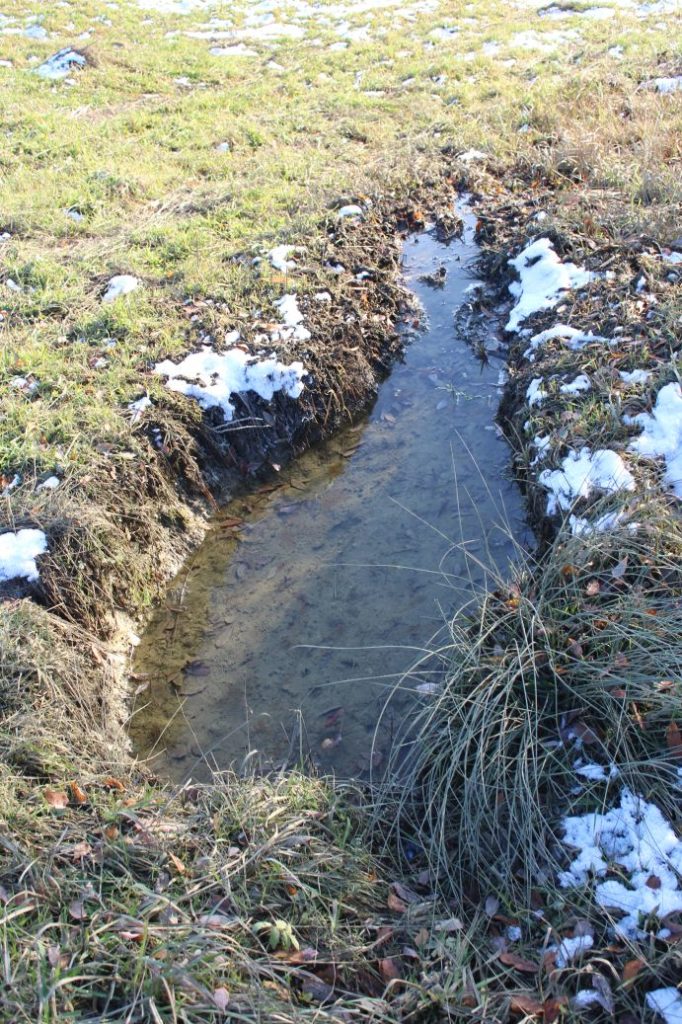 Prameň Záblatné, Kalameny 03