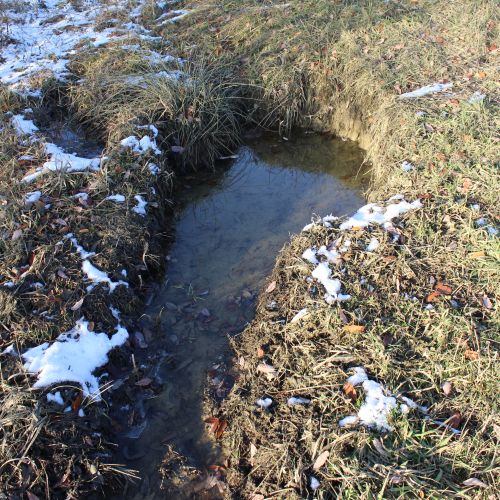 Spring Záblatné, Kalameny