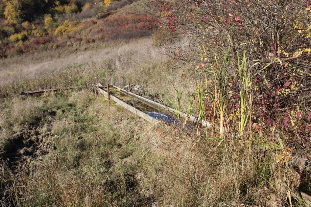Prameň Záhumnie, Liptovské Sliače - Nižný 03 Prameň Záhumnie, Liptovské Sliače - Nižný 03