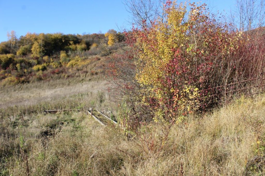 Prameň Záhumnie, Liptovské Sliače - Nižný 04 Prameň Záhumnie, Liptovské Sliače - Nižný 04