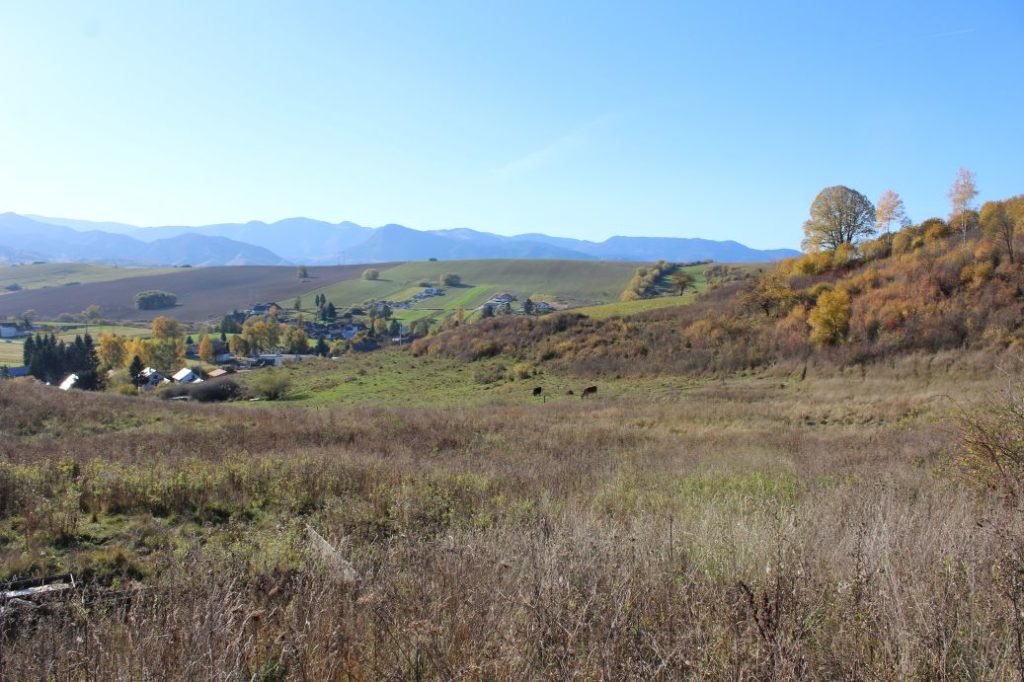 Prameň Záhumnie, Liptovské Sliače - Nižný 05 Prameň Záhumnie, Liptovské Sliače - Nižný 05