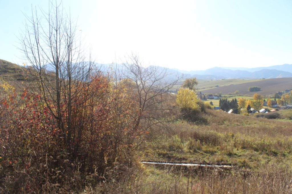 Prameň Záhumnie, Liptovské Sliače - Nižný 06 Prameň Záhumnie, Liptovské Sliače - Nižný 06